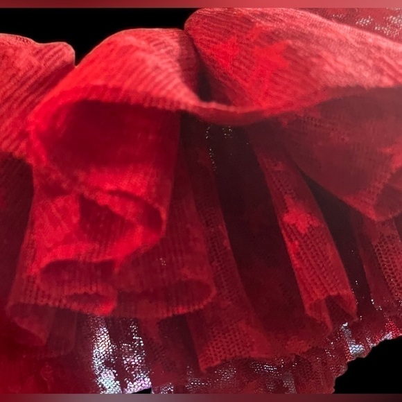 Christmas Dog Dress Lace Tulle Bottom Leash attachment Beige Red embroidery - Picture 3 of 16